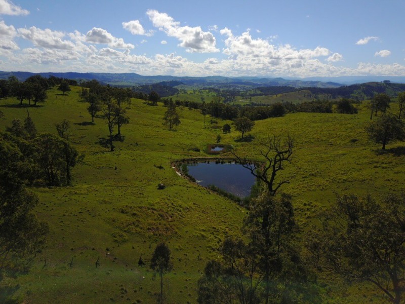 164 Germons Road, Flat Tops Via, Dungog NSW 2420