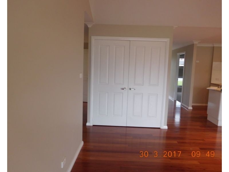 Dungog NSW 2420