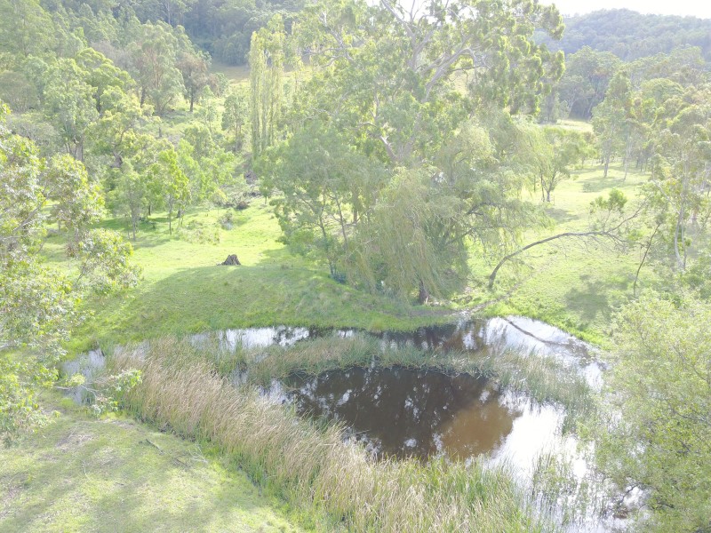 438 Myall Creek Road, Dungog NSW 2420