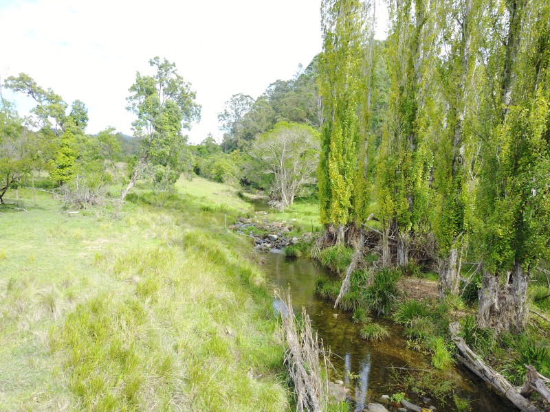 438 Myall Creek Road, Dungog NSW 2420