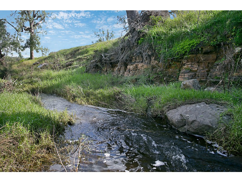 339 Torryburn Road, TORRYBURN VIA, Paterson NSW 2421