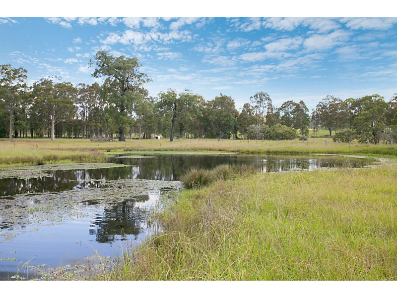 339 Torryburn Road, TORRYBURN VIA, Paterson NSW 2421