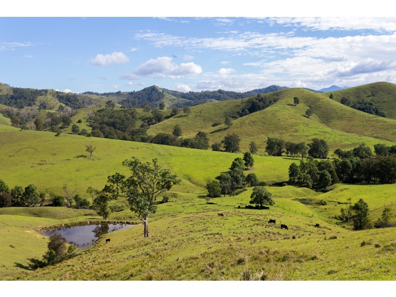 1943 Salisbury Road, Dungog NSW 2420