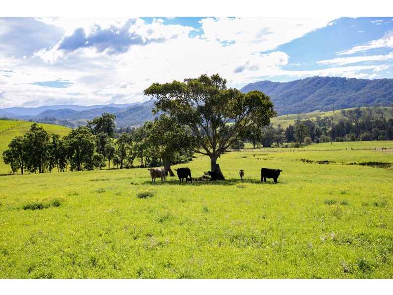 1943 Salisbury Road, Dungog NSW 2420