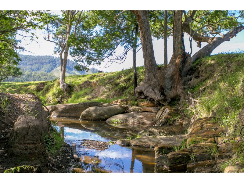 1943 Salisbury Road, Dungog NSW 2420