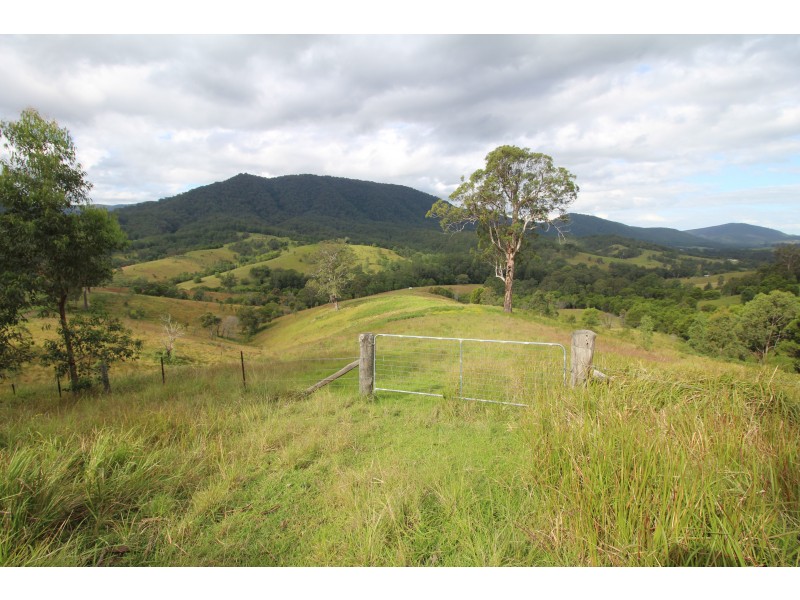 1312 Chichester Road UPPER CHICHESTER VIA, Dungog NSW 2420