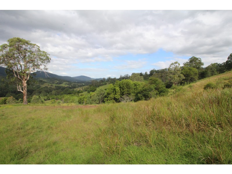 1312 Chichester Road UPPER CHICHESTER VIA, Dungog NSW 2420