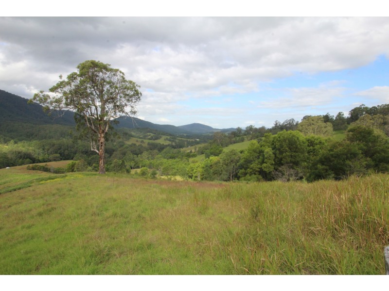 1312 Chichester Road UPPER CHICHESTER VIA, Dungog NSW 2420