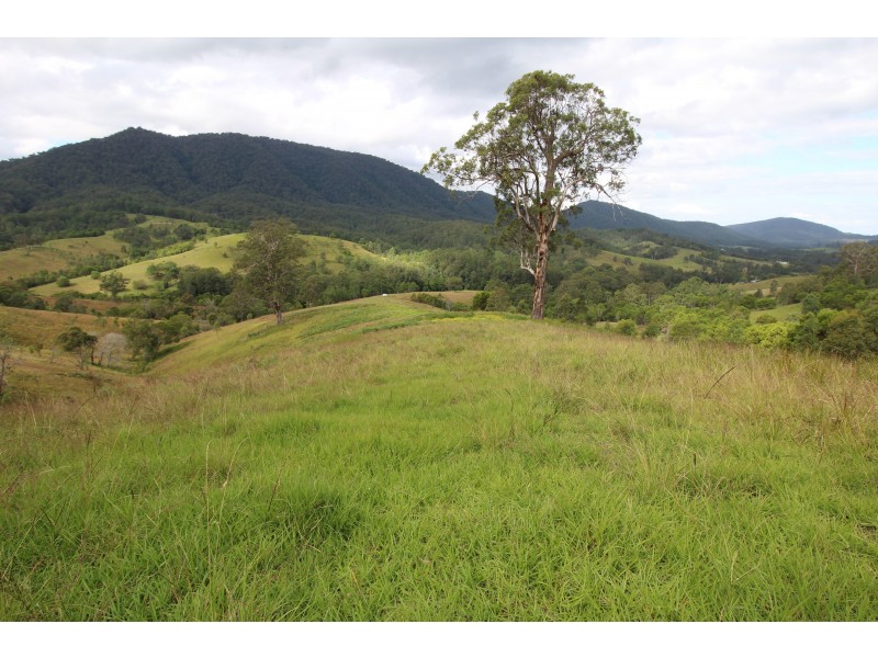 1312 Chichester Road UPPER CHICHESTER VIA, Dungog NSW 2420