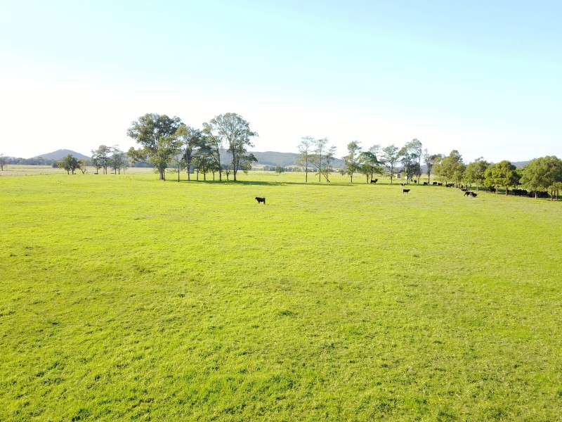 1108 Seaham Road, Seaham NSW 2324