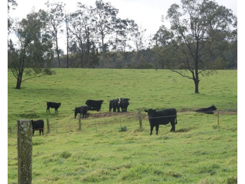 972 Dungog Road, Dungog NSW 2420