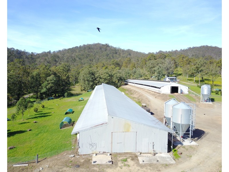 972 Dungog Road, Dungog NSW 2420