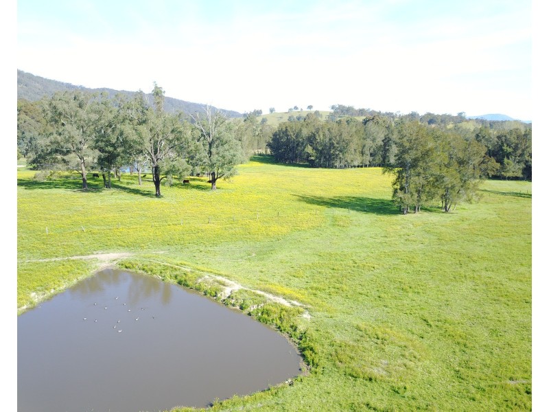 972 Dungog Road, Dungog NSW 2420
