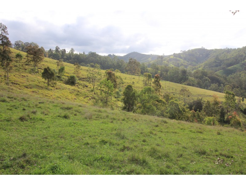 370 & 372 Quartpot Creek Road & 1892 Salisbury Road, Dungog NSW 2420