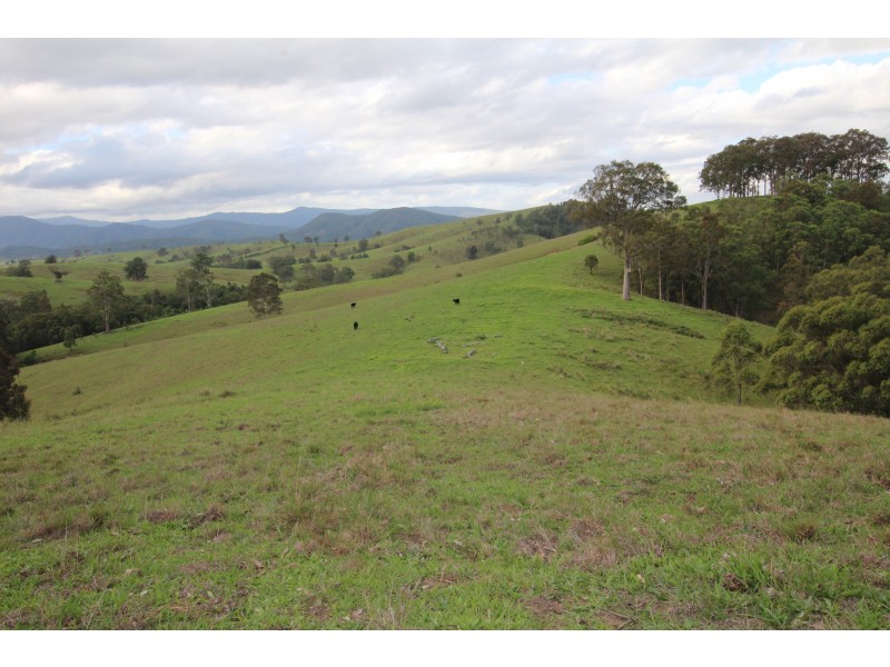 370 & 372 Quartpot Creek Road & 1892 Salisbury Road, Dungog NSW 2420