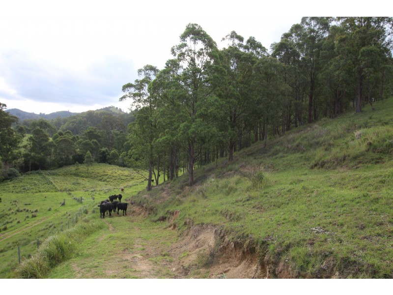 370 & 372 Quartpot Creek Road & 1892 Salisbury Road, Dungog NSW 2420