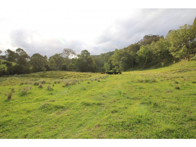 370 & 372 Quartpot Creek Road & 1892 Salisbury Road, Dungog NSW 2420