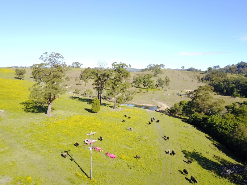 513, 530 & Lot 1 Chichester Road, CHICHESTER VIA, Dungog NSW 2420
