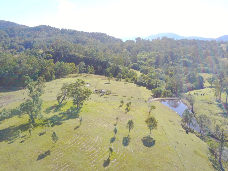 513, 530 & Lot 1 Chichester Road, CHICHESTER VIA, Dungog NSW 2420