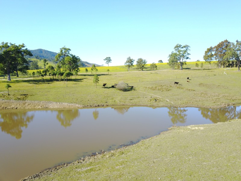 513, 530 & Lot 1 Chichester Road, CHICHESTER VIA, Dungog NSW 2420