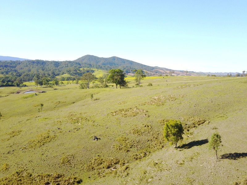 513, 530 & Lot 1 Chichester Road, CHICHESTER VIA, Dungog NSW 2420