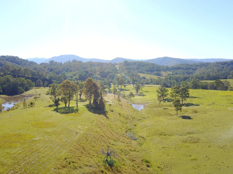 513, 530 & Lot 1 Chichester Road, CHICHESTER VIA, Dungog NSW 2420