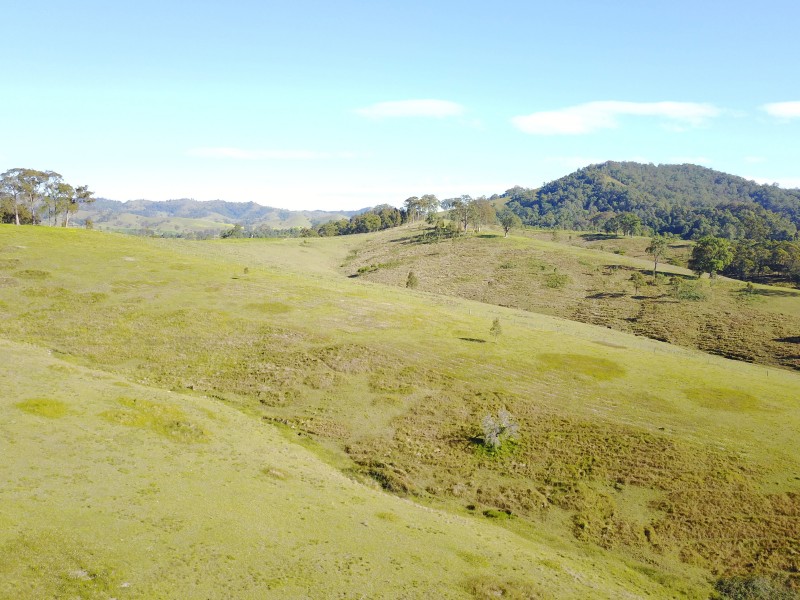 513, 530 & Lot 1 Chichester Road, CHICHESTER VIA, Dungog NSW 2420