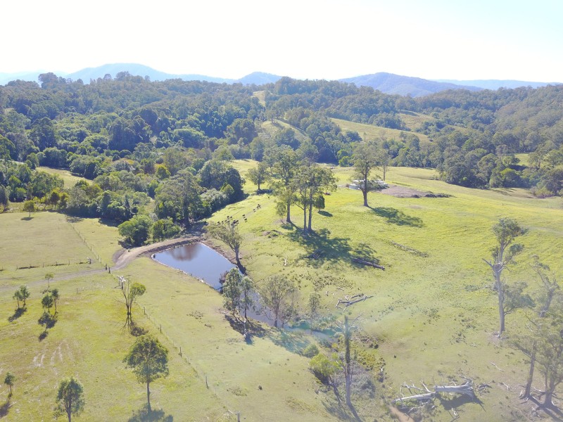 513, 530 & Lot 1 Chichester Road, CHICHESTER VIA, Dungog NSW 2420