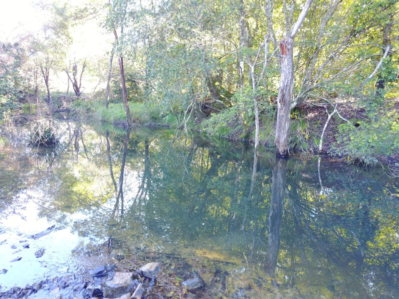 513, 530 & Lot 1 Chichester Road, CHICHESTER VIA, Dungog NSW 2420