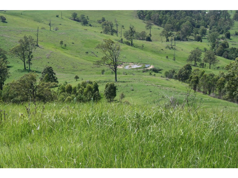 114 Germons Road, MARSHDALE Via, Dungog NSW 2420