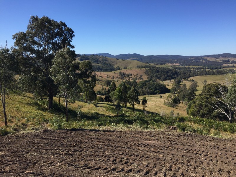 114 Germons Road, MARSHDALE Via, Dungog NSW 2420