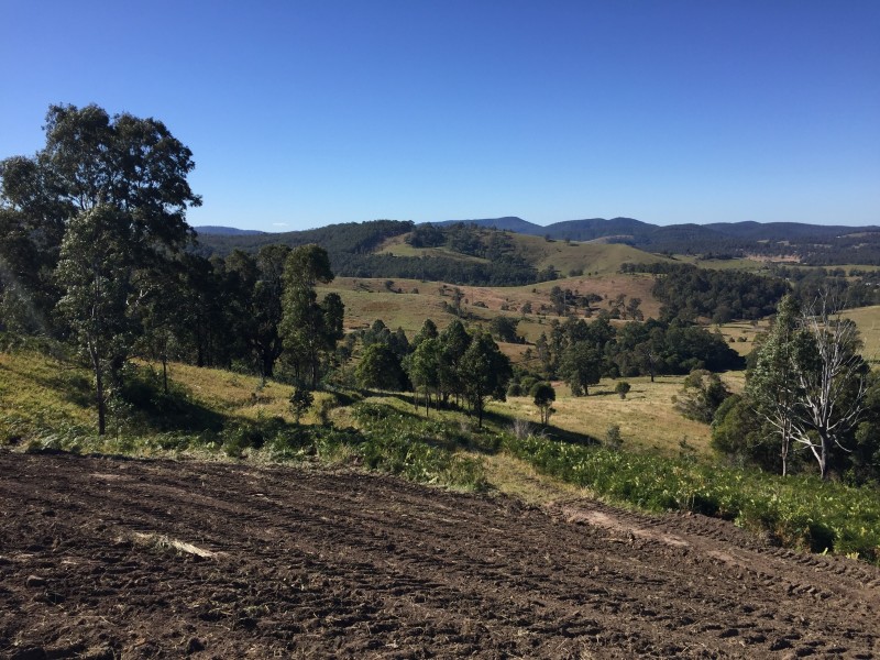 114 Germons Road, MARSHDALE Via, Dungog NSW 2420