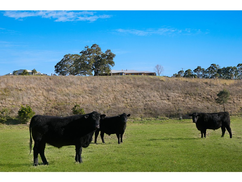 341 Cross Keys Road, Gresford NSW 2311