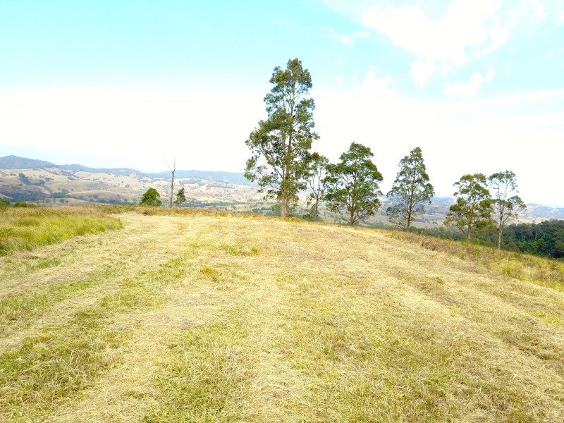 181 Heatherbrae Road, MUNNI Via, Dungog NSW 2420