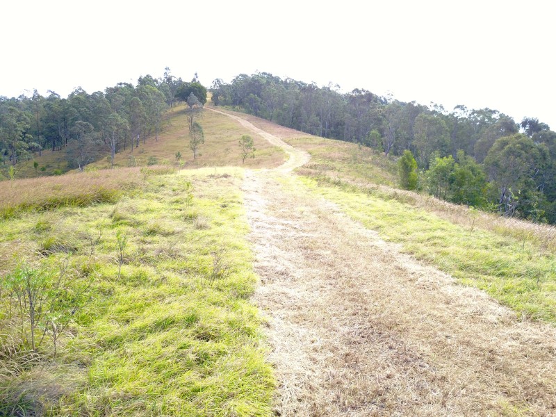 181 Heatherbrae Road, MUNNI Via, Dungog NSW 2420