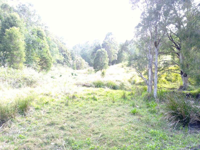 181 Heatherbrae Road, MUNNI Via, Dungog NSW 2420