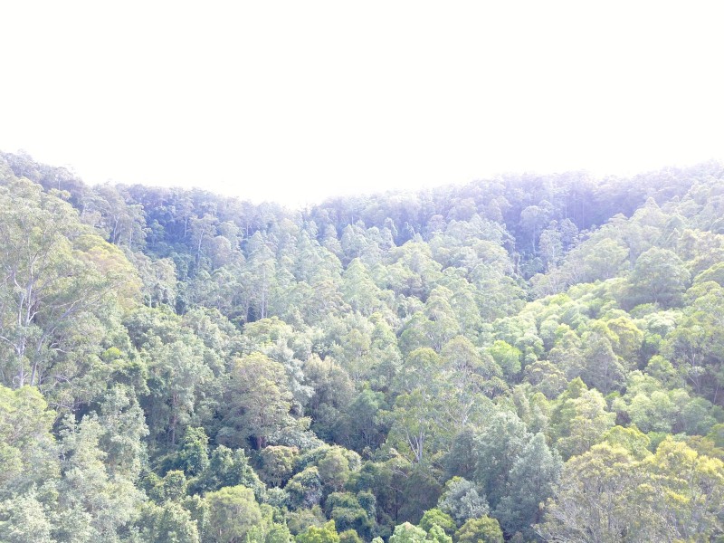 181 Heatherbrae Road, MUNNI Via, Dungog NSW 2420