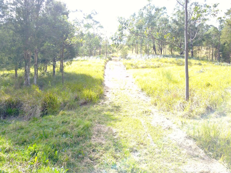 181 Heatherbrae Road, MUNNI Via, Dungog NSW 2420