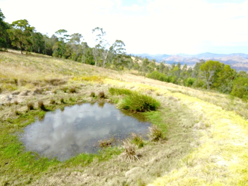 181 Heatherbrae Road, MUNNI Via, Dungog NSW 2420