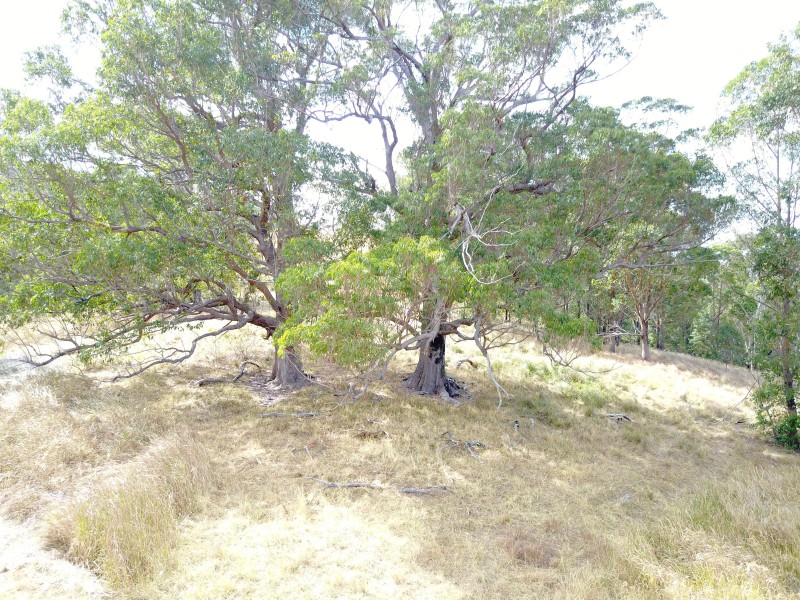 181 Heatherbrae Road, MUNNI Via, Dungog NSW 2420