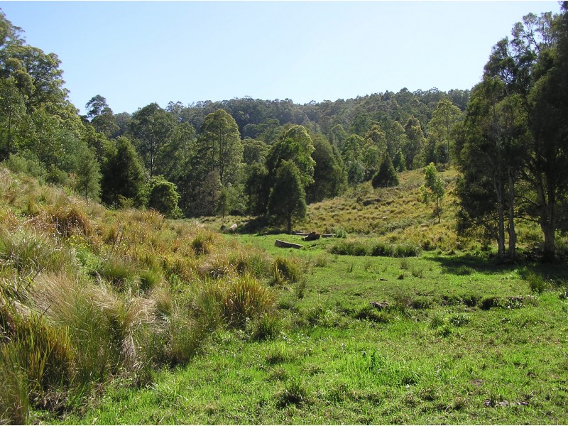 181 Heatherbrae Road, MUNNI Via, Dungog NSW 2420