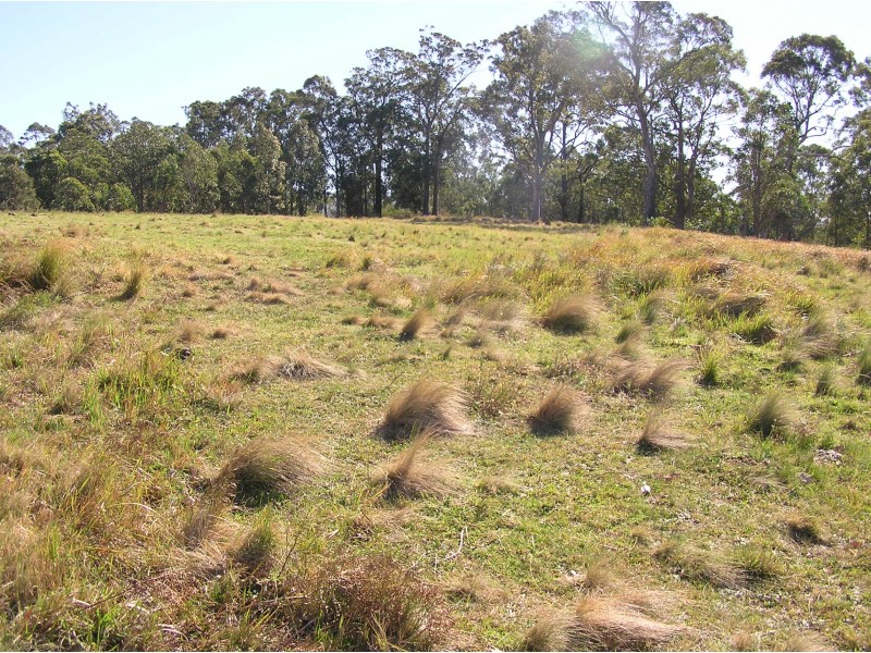 181 Heatherbrae Road, MUNNI Via, Dungog NSW 2420