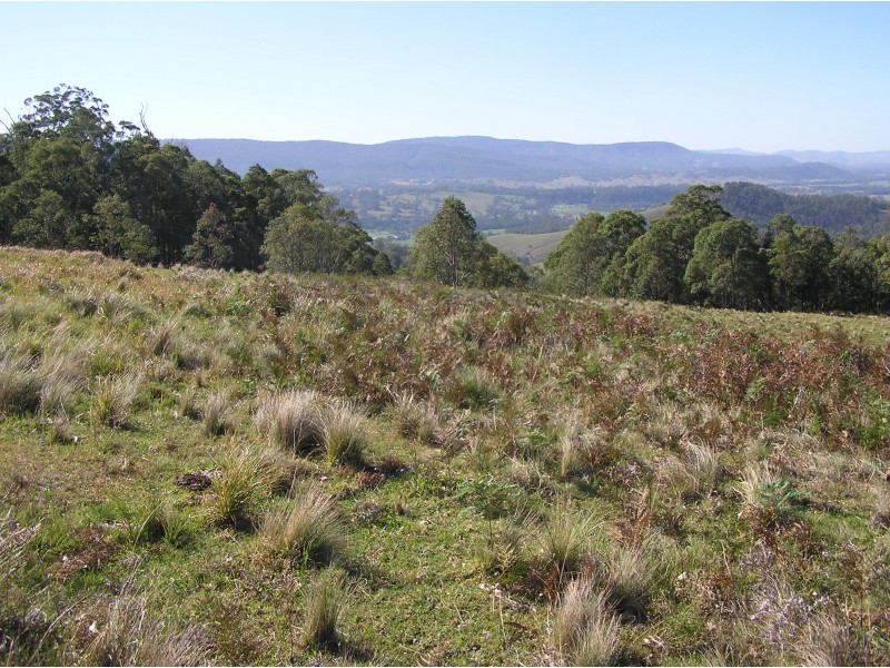 181 Heatherbrae Road, MUNNI Via, Dungog NSW 2420