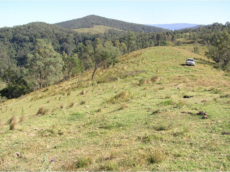 181 Heatherbrae Road, MUNNI Via, Dungog NSW 2420