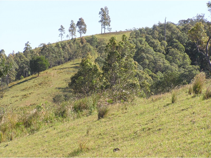 181 Heatherbrae Road, MUNNI Via, Dungog NSW 2420