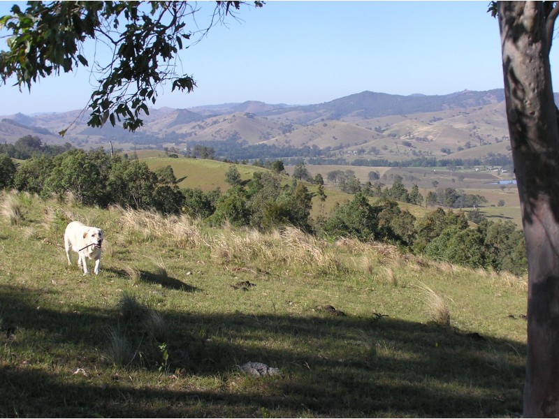 181 Heatherbrae Road, MUNNI Via, Dungog NSW 2420