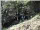 693 Alison Road, Alison Via, Dungog NSW 2420