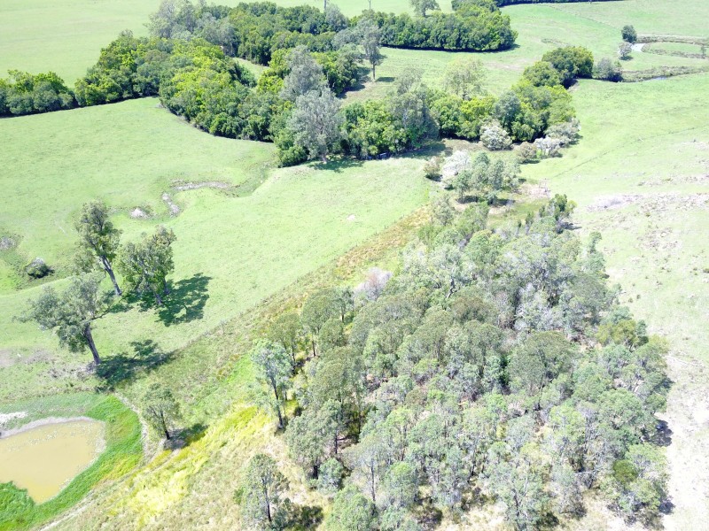 717 Flat Tops Road, Cambra Via, Dungog NSW 2420