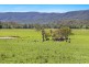 764 Chichester Dam Road, Bendolba Via, Dungog NSW 2420