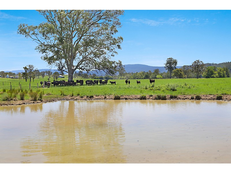 764 Chichester Dam Road, Bendolba Via, Dungog NSW 2420